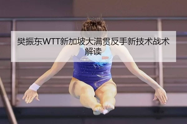 樊振东WTT新加坡大满贯反手新技术战术解读