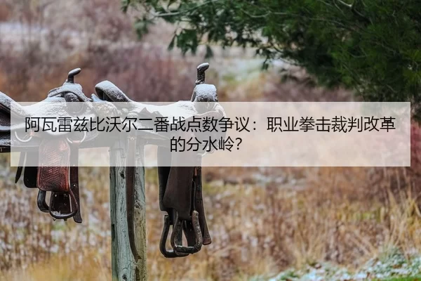 阿瓦雷兹比沃尔二番战点数争议：职业拳击裁判改革的分水岭？